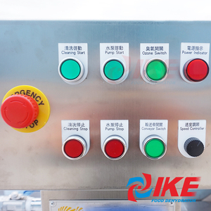 Máy Rửa Rau Quả Công Nghiệp Dâu Tây Blackberry Blueberry Berry - Product Image 6