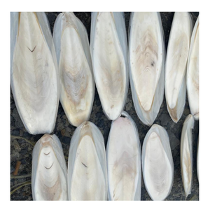[DISPONIBLE] |   Os de Seiche Séchés en Gros, Riches en Calcium, Supplément Alimentaire Animal de Blue Lotus Vietnam - Product Image 1
