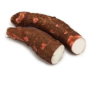 Raíz de Yuca Fresca, Tubérculo de Manioca Entero, Estilo Orgánico, Alto en Proteínas y Almidón, Tapioca para Procesamiento de Alimentos y Cocina - Product Image 1
