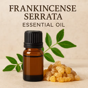Frankincense Serrata Essential <b>Oil</b> Pure Natural Resin Aromatherapy Grade Steam Distilled <b>Oil</b> for Skin Care Meditation <b>Diffuser</b> - Product Image 2