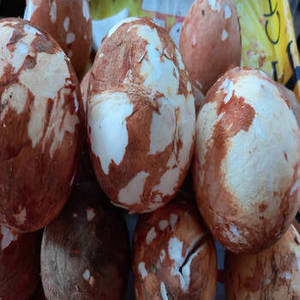 Fresh Season Indian Desiccated <b>Coconut</b> <b>Flakes</b> for Decorative Bakery Finishes, Chocolate Applications and Attractive Dessert - Product Image 2
