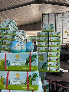 น้ำมะพร้าวแช่แข็งพรีเมียมจากมะพร้าวอ่อนสด เหมาะสำหรับทำขนมหวาน ไอศกรีม และส่งออกจำนวนมากทั่วโลก - Product Image 5