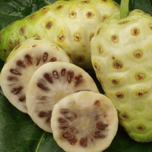 Fruits de Noni séchés de qualité supérieure – Noni naturel, propre, séché au soleil et sans produits chimiques // Mr.Tom - Product Image 5