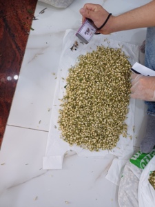 Capullos de Jazmín Secos Naturales Orgánicos de Vietnam, Proveedor de Té Saludable para la Belleza de la Piel - Product Image 4