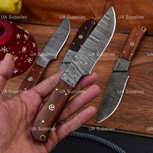 Custom Hand Forged Full Tang Damascus Steel Wholesale BBQ Steak <b>Knives</b> <b>Set</b> OEM ODM Available High Quality Paring Chef <b>Knives</b> - Product Image 5