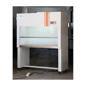 2 People Clean Bench Horizontal Air Supply SW-CJ-2G Laminar Flow Cabinet For Clean Room And School