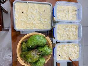 100% Natural Frozen Soursop Pulp OEM Private Label Manufacturer - Product Image 4