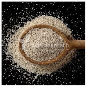 Highest Quality Best Selling Active Dry <b>Yeast</b> for Molasses Manufacturer Supplier From Bangalore, Karnataka, India - Product Image 4