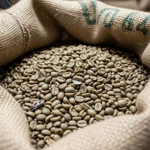 Grains de café Arabica frais sélectionnés pour une saveur et un arôme supérieurs, offrant une excellente expérience de dégustation. - Product Image 2