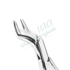 Pinzas Quirúrgicas Dentales de Acero Inoxidable para Extracción de Molares Inferiores Rotos o Atrapados, Tipo Cuerno, al por Mayor - Product Image 5