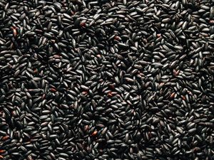 Arroz Negro de Calidad Superior, Rico en Antioxidantes, Sin Pulir, Grano Entero, Fuente de Nutrientes, Suministro a Granel para Venta al por Mayor y al por Menor - Product Image 6
