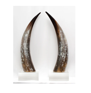 Water Buffalo Horn Decorative Home Decor Show Piece Handicraft Antique Design Horn <b>Decoration</b> Pieces - Product Image 5