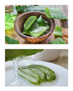 HIGH-QUALITY, PURE FRESH ALOE VERA, WHOLESALE, IN SYRUP FORM WITH PULP, FOR JUICING, <b>DICED</b> - Product Image 5