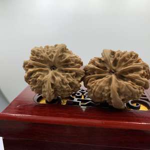 Noix de Vajra sauvage naturelle à quatre faces, objet de collection de <span class=keywords><strong>fitness</strong></span> portatif. - Product Image 6