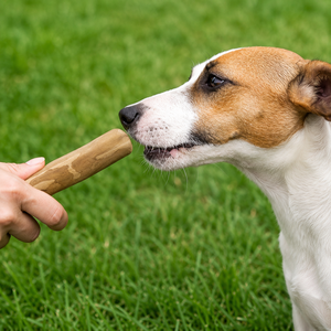 Jouets à mâcher pour chiens en bois de café du Vietnam/MS. ALINA - Product Image 1