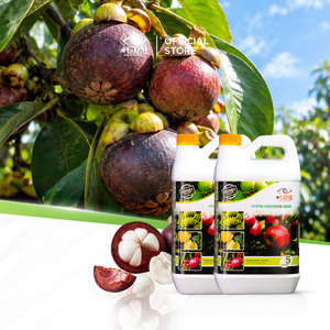 Fertilizante Orgánico Líquido GDM Bio de 5 Litros para Árboles Frutales, Promueve el Crecimiento Saludable y Mejora la Calidad de los Frutos - Product Image 2