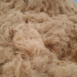 Fibres de coco naturelles standard à faible teneur en EC, fibres de coco en vrac pour l'agriculture, grandes balles de fibres de coco brunes disponibles - Product Image 6