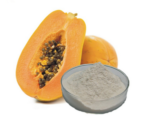 Enzima Proteasa de Papaína en Polvo en Oferta para Chefs, Restaurantes y Aplicaciones de Cocina Casera Disponible a Precio de Mayoreo - Product Image 6