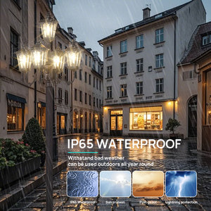 Fabrication en gros <span class=keywords><strong>de</strong></span> lampadaires <span class=keywords><strong>de</strong></span> jardin à 5 poteaux en aluminium, alimentation CA, blanc chaud, IP65, lampadaire <span class=keywords><strong>de</strong></span> jardin LED <span class=keywords><strong>avec</strong></span> certificat CE - Product Image 3