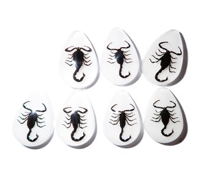 Cabochon Black Scorpion Pear Shape cut <b>top</b> 25x17 mm White Flat Bottom for Crafts and Jewelry Making - Product Image 5