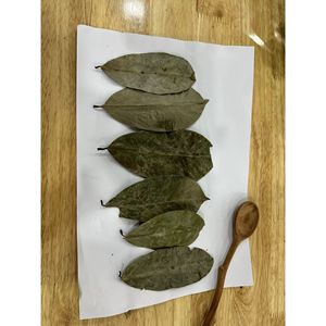 Feuilles de corossol séchées de qualité supérieure en vrac pour tisane - Product Image 6