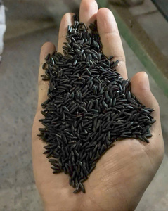 Arroz Jazmín Seco de Vietnam, Grano Largo, Sin OMG, 2 Años de Duración, Venta al Por Mayor, OEM, Marca Privada, Precio de Fábrica IIGlobal - Product Image 1