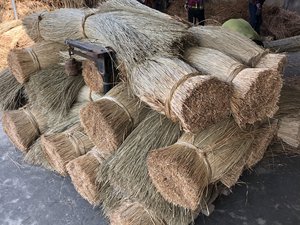 ผู้จัดจำหน่ายหญ้าทะเลแห้งเวียดนาม เส้นใยธรรมชาติ 1.5 ม. สำหรับเสื่อ พรม และของตกแต่งบ้าน คุณภาพสูง ราคาขายส่ง 28 ANGLE - Product Image 3