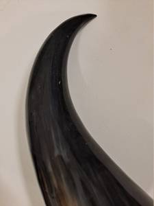 Corne à boire viking de qualité supérieure avec support, en corne de vache naturelle polie, pour bière, vin, cadeau, décoration, thème animal, artisanale - Product Image 3
