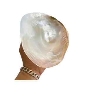 Assiette en nacre naturelle du Vietnam, fabriquée à partir de coquillages, pour la présentation de bijoux, la décoration de la maison, les événements et les cadeaux - Product Image 3
