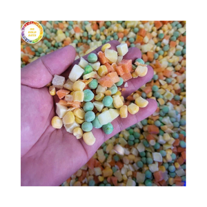 Vegetales Mixtos IQF a Granel para el Mercado Europeo y Estadounidense, Certificación ISO HACCP, Calidad Premium de Vietnam - Product Image 1