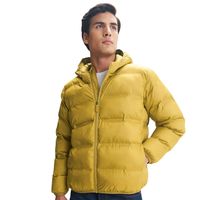 Veste matelassée pour homme, chaude pour l'hiver, avec capuche, alternative au duvet, légère, isolée, décontractée, coupe-vent, tendance