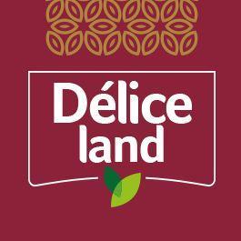 DELICELAND logo