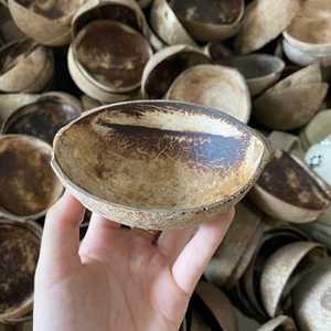 Natural Coconut Shell Bowl for Ice Cream & Dessert Eco-Friendly Handmade Modern Design Lightweight Durable Wholesale - Product Image 4