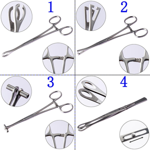 <b>Sponge</b> Holding Forceps Surgical Stainless Steel Medical Instrument Professional Hospital Equipment Applications - Product Image 5