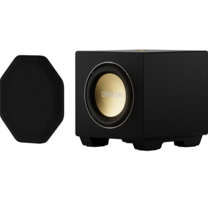 ระบบเสียงรอบทิศทางภายในบ้าน DRAGON Dolby Atmos ใหม่ พร้อมซับวูฟเฟอร์คู่ขนาด 12 นิ้ว แบบพกพา รับประกัน 2 ปี พร้อมจัดส่งและส่งมอบ - Product Image 5