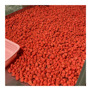 PROMOTION EXCEPTIONNELLE : FRAISES SÉCHÉES PAR CONGÉRATION DU VIETNAM – FRUITS ENTIERES, NATURELLEMENT SUCRÉS - Product Image 6
