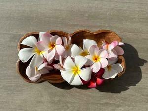 Plateau de service en bois moderne, léger, multifonctionnel, pour le thé, le café, les aliments, le petit-déjeuner, les collations, la cuisine, la salle à manger, l'utilisation à domicile - Product Image 3