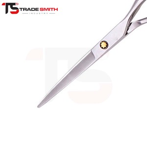 Tijeras de peluquería clásicas TSI de acero inoxidable, herramienta para cortar el cabello para barberos profesionales, estilistas y profesionales de la peluquería. - Product Image 4