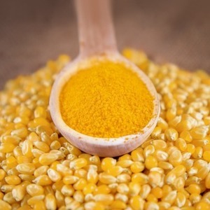 ราคาอาหารสัตว์ ราคาขายส่ง อาหารสัตว์ โค กระบือ ไก่ ข้าวโพด อาหารสัตว์กลูเตน - Product Image 1
