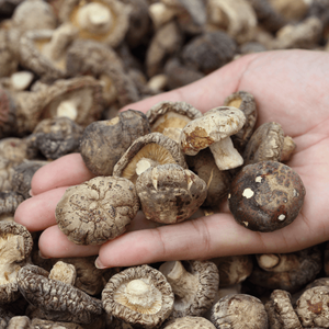 เห็ดหอมแห้งคุณภาพสูง - เห็ดดำหนาจากภูเขาตะวันตกเฉียงเหนือ - Product Image 1