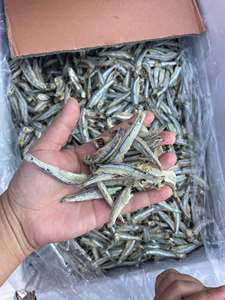 Viet Delta Dried Anchovies Whole Body 5-8cm High <b>Protein</b> Nutritious Bulk Packaging Grade a - Product Image 3