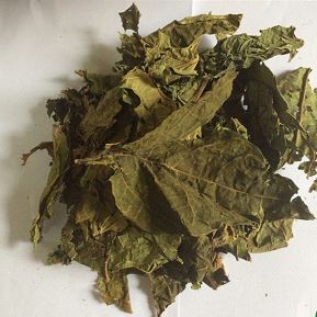 Hojas de Papaya Secas Más Vendidas Procesadas en Vietnam, para Preparar Té de Hierbas, Alimento para Mascotas, Venta al por Mayor, al por Menor y Exportación - Product Image 2