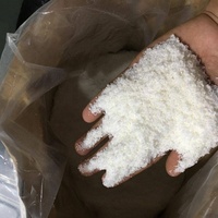 Coco Orgánico en Rodajas de Vietnam, Alto Valor Nutricional, 60-65% de Contenido de Aceite, Proceso de Secado por Congelación, Envío Inmediato, Precio al por Mayor, Contacto +84