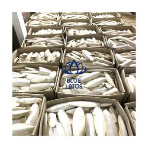 OFERTA LIMITADA: Huesos de Sepia 2026, Fuente de Calcio para Aves, para Recortar el Pico y Masticar - Product Image 1