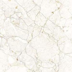 Carrelage en porcelaine poli numérique antibactérien antidérapant HD-276 600x600 mm 8,5 mm d'épaisseur, qualité supérieure pour les espaces commerciaux - Product Image 1