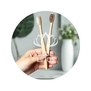 [VENTE CHAUDE] Brosse à dents durable avec poils en nylon doux pour un usage quotidien à la maison, taille standard, fabriquée à Ben Tre - Product Image 1