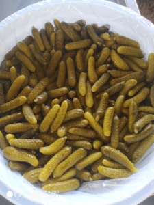 Cornichons marinés GGI <span class=keywords><strong>en</strong></span> saumure, goût sucré, cornichons frais <span class=keywords><strong>en</strong></span> <span class=keywords><strong>conserve</strong></span> du Tamil Nadu, durée de conservation de 18 mois - Product Image 4