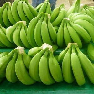 Organic Green Cavendish Banana <b>Fresh</b> <b>Fruit</b> Premium Quality Sweet Sliced Natural Healthy Rich Fiber Tropical Flavor Delicious - Product Image 6