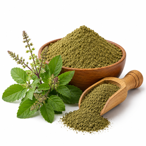 Achetez maintenant l'extrait de Tulsi, extrait naturel de basilic sacré, fournisseur en gros, fabricant, exportateur en provenance d'Inde - Product Image 1