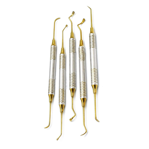 Kit de Instrumentos de Acero Inoxidable para Elevación de Seno Maxilar y Túnel Subperiostal con Incisión Vestibular Dental, Clase I - Product Image 5